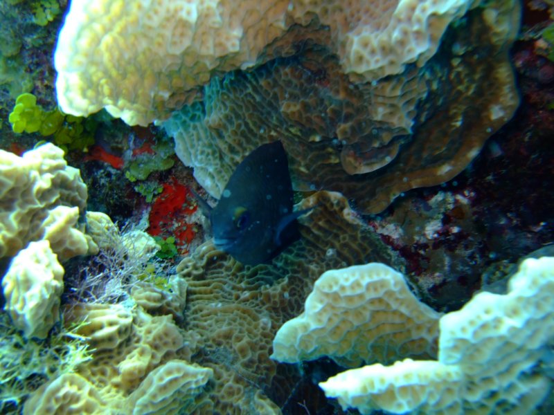 dscf8008.jpg
