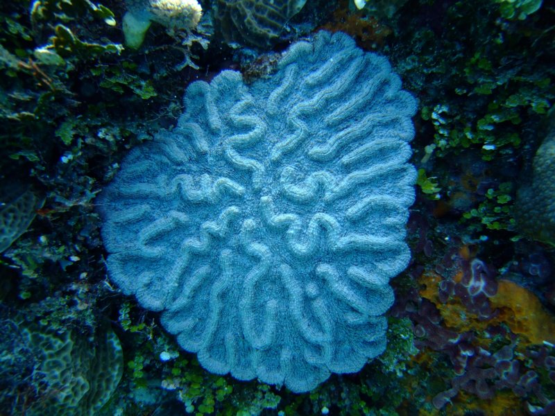 dscf8009.jpg