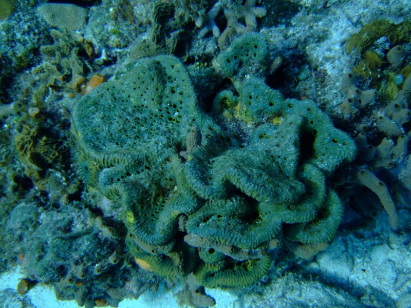 dscf8011.jpg