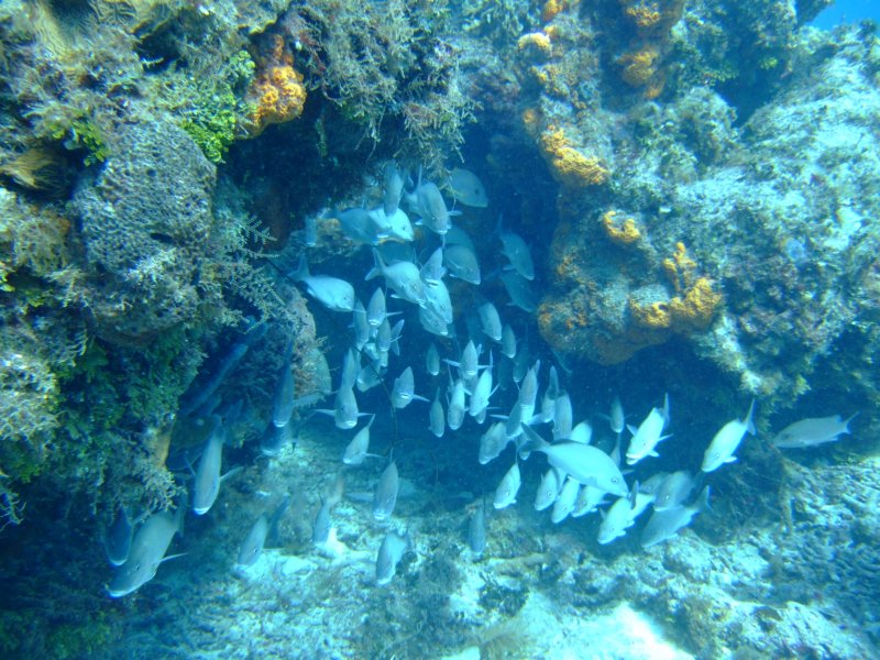 dscf8013.jpg