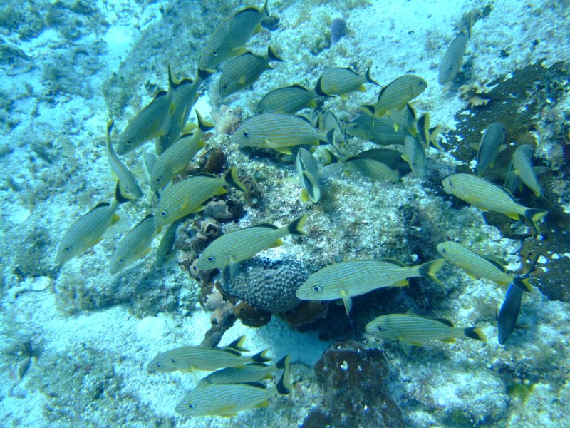 dscf8015.jpg
