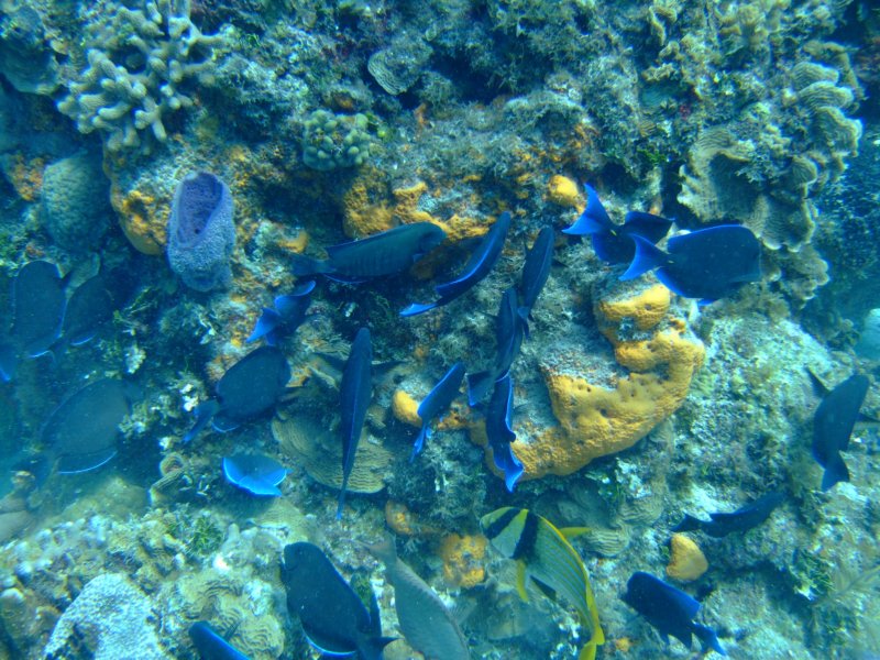 dscf8019.jpg