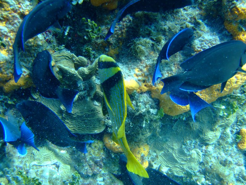 dscf8020.jpg