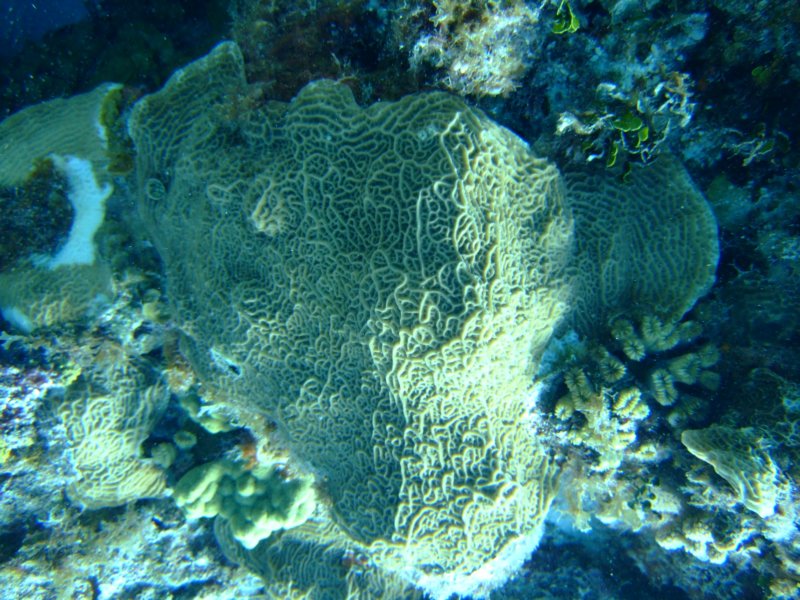 dscf8021.jpg