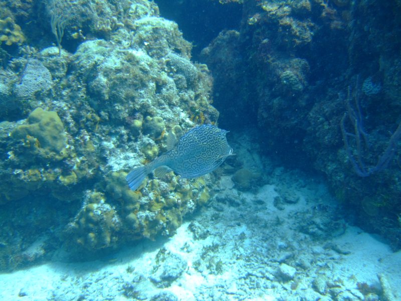 dscf8023.jpg