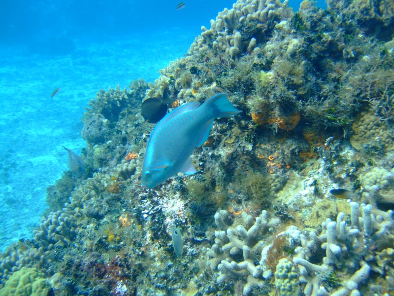 dscf8024.jpg