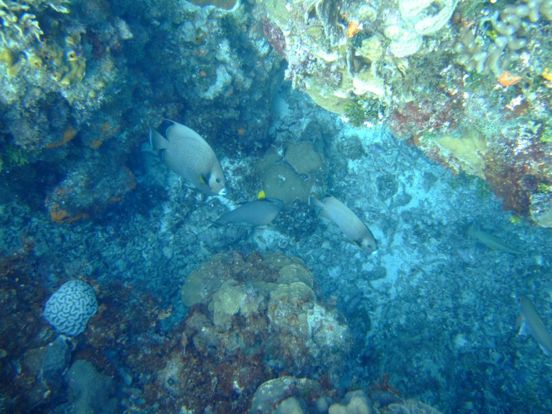 dscf8040.jpg