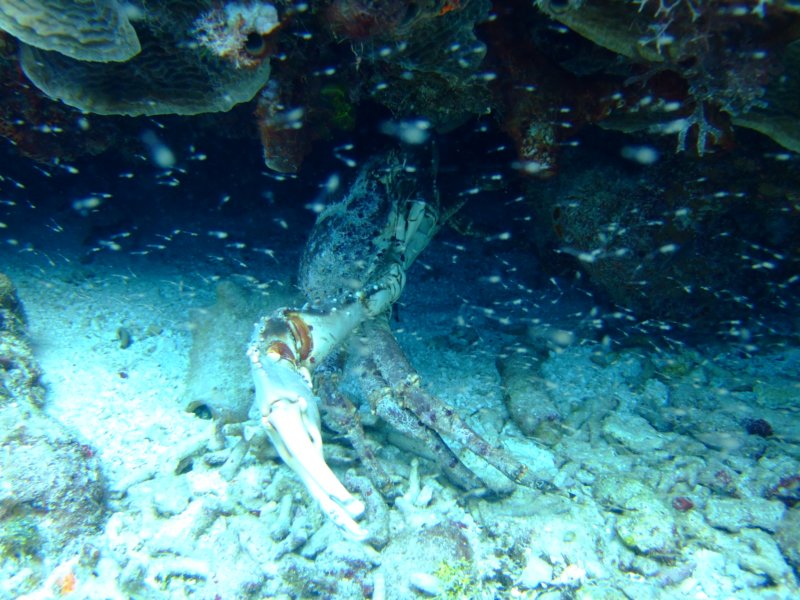 dscf8041.jpg