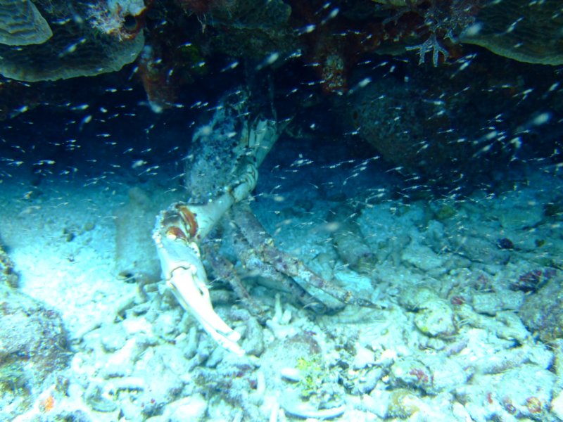 dscf8042.jpg