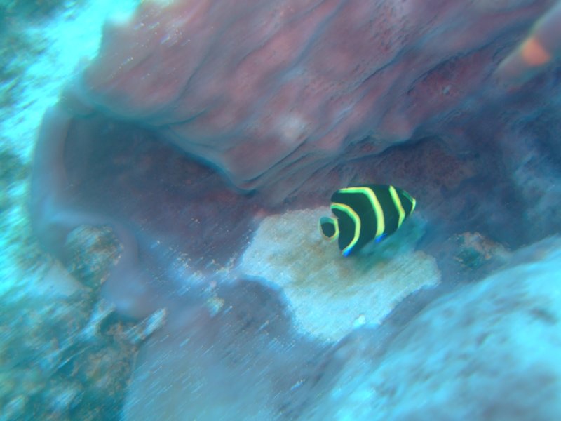 dscf8139.jpg