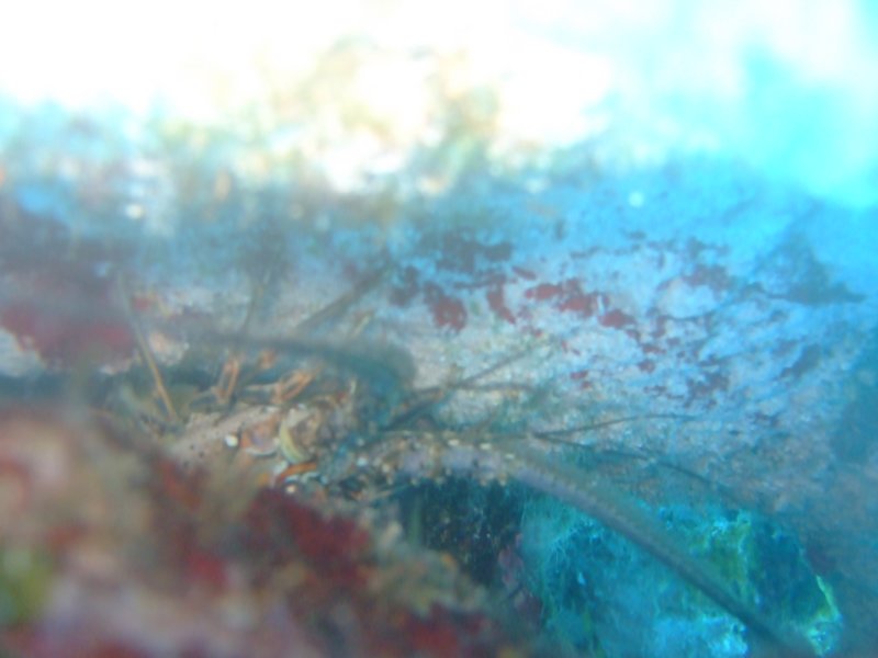 dscf8141.jpg
