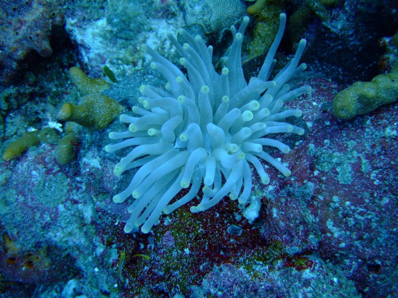 dscf7596.jpg