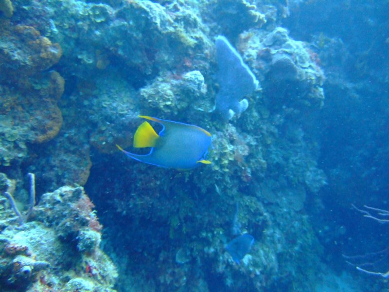 dscf7603.jpg