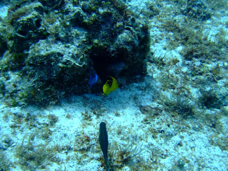 dscf7632.jpg