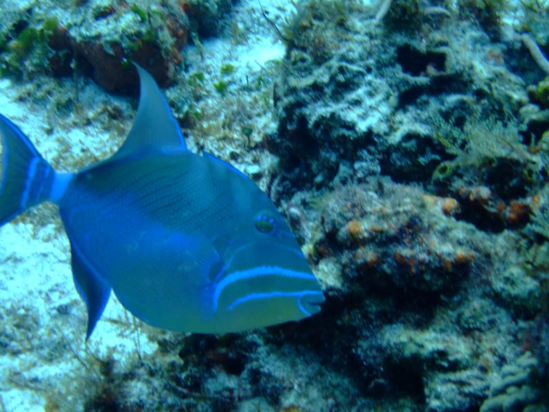 dscf7634.jpg