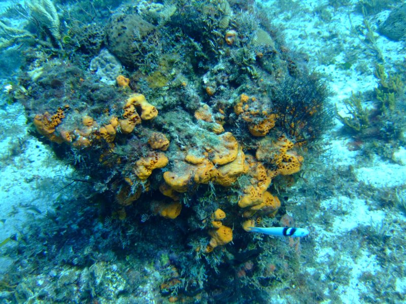 dscf7638.jpg