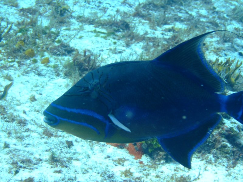 dscf7639.jpg