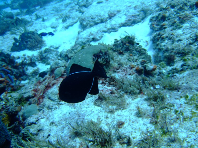 dscf7662.jpg