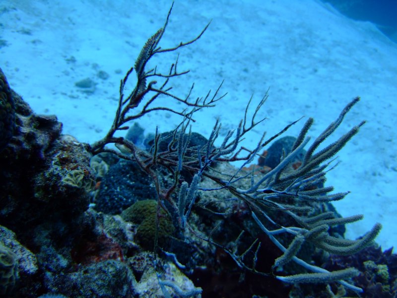 dscf7855.jpg