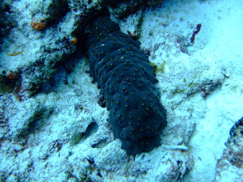 dscf7858.jpg