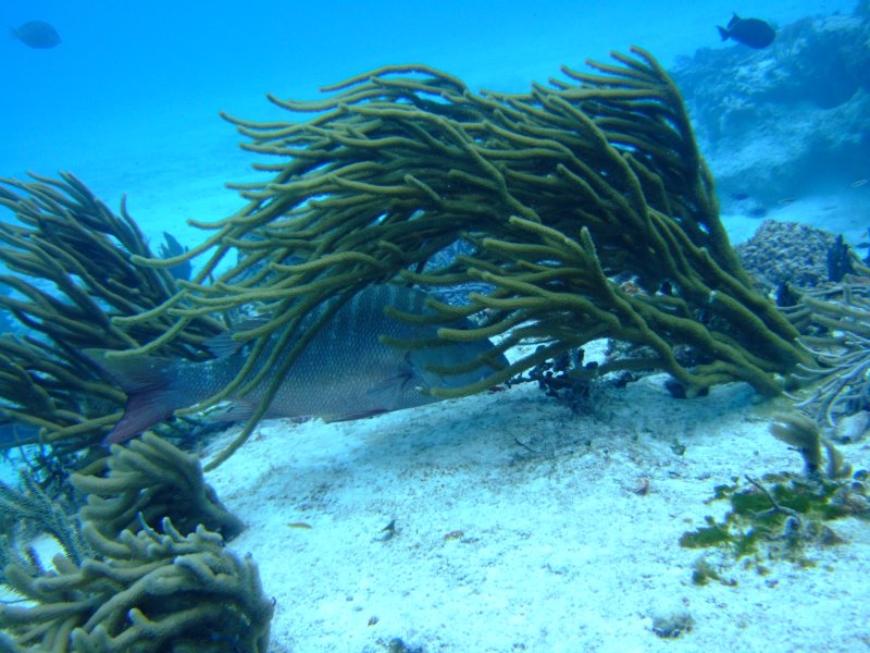dscf7863.jpg