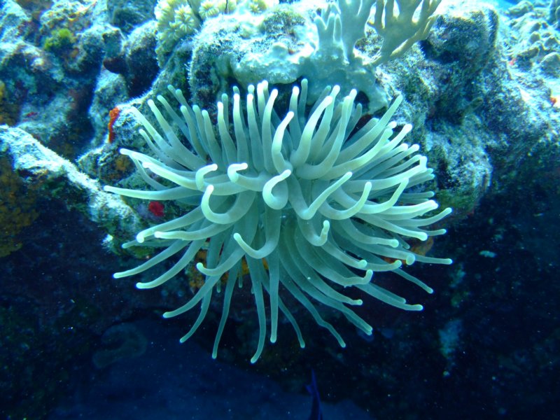 dscf7873.jpg