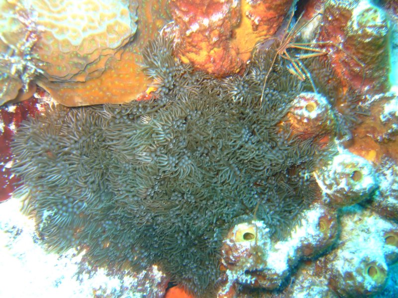dscf7890.jpg