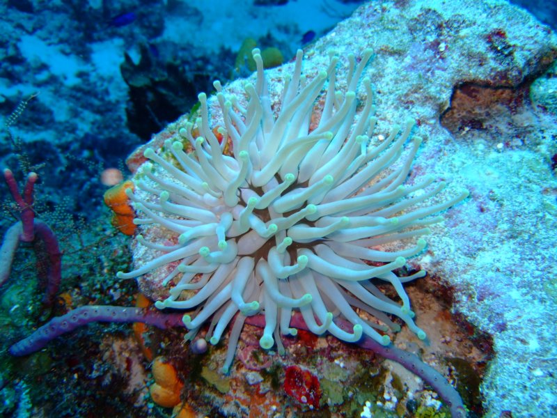 dscf7721.jpg