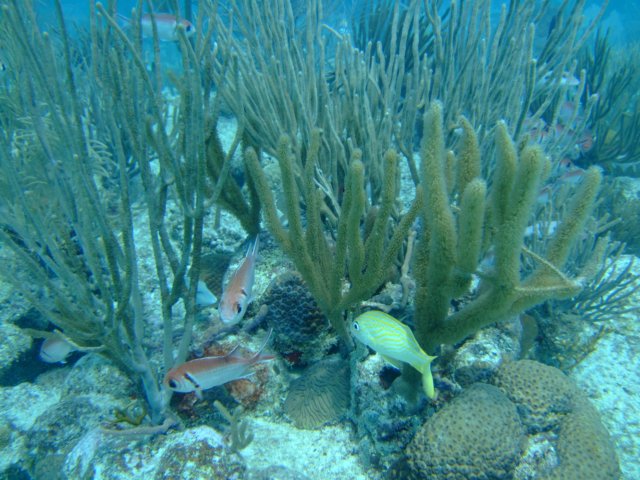 dscf5072.jpg
