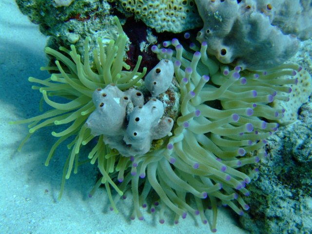 dscf5089.jpg