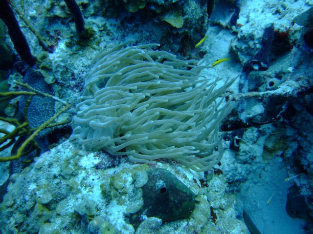 dscf5109.jpg