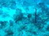 dscf5352_small.jpg