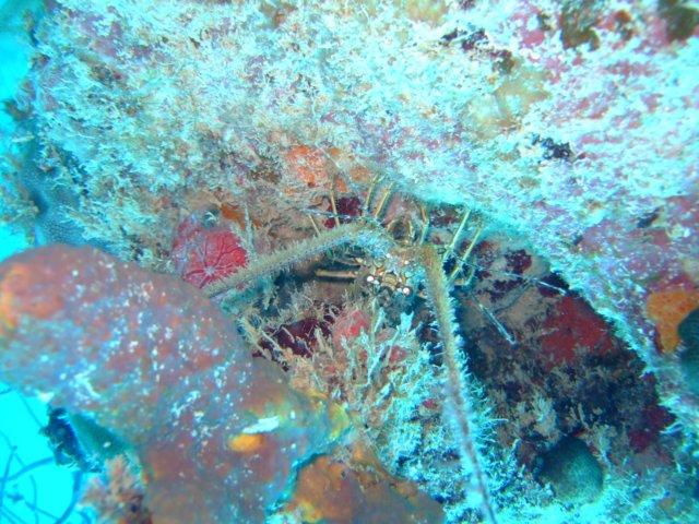 dscf5371.jpg