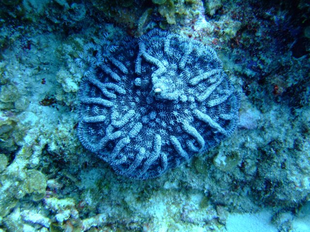 dscf5455.jpg
