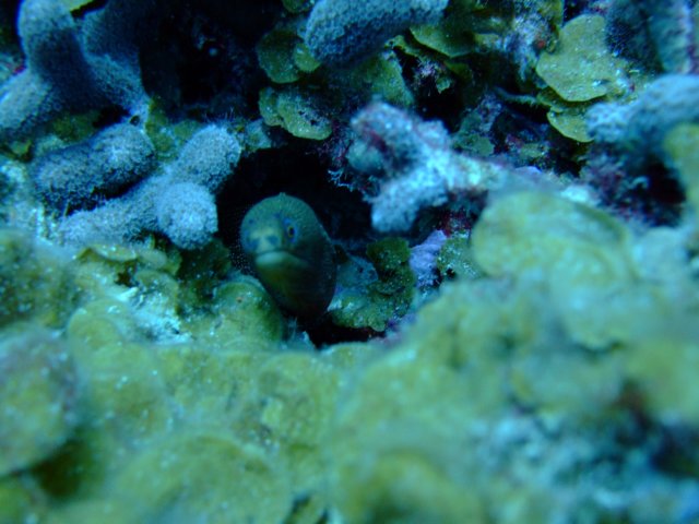 dscf5458.jpg
