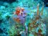 dscf5462_small.jpg