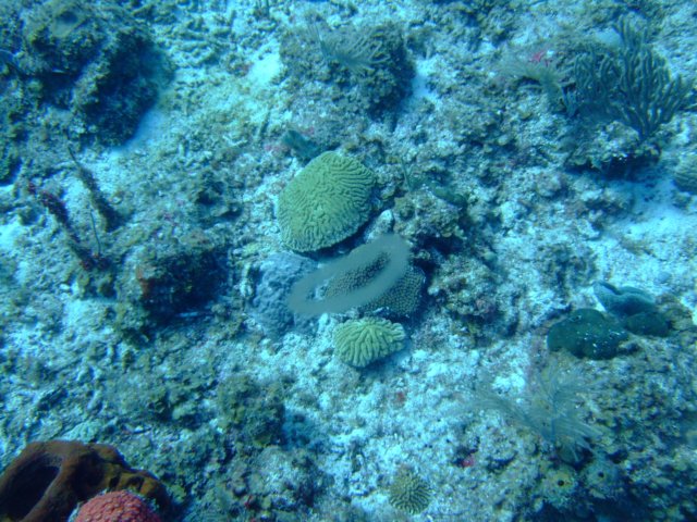 dscf5464.jpg