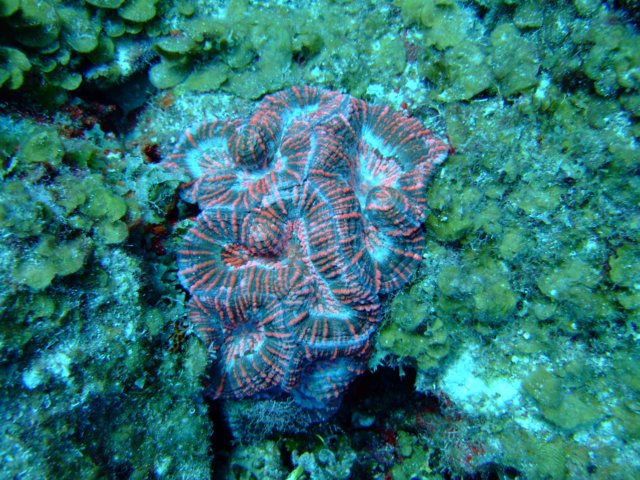 dscf5465.jpg