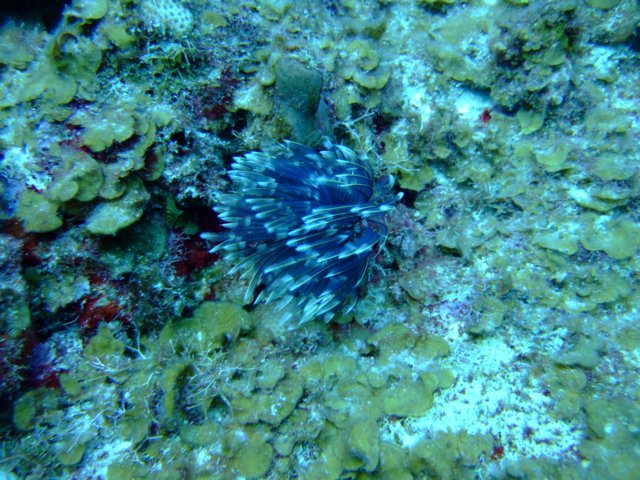 dscf5466.jpg