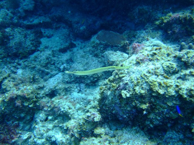 dscf5467.jpg