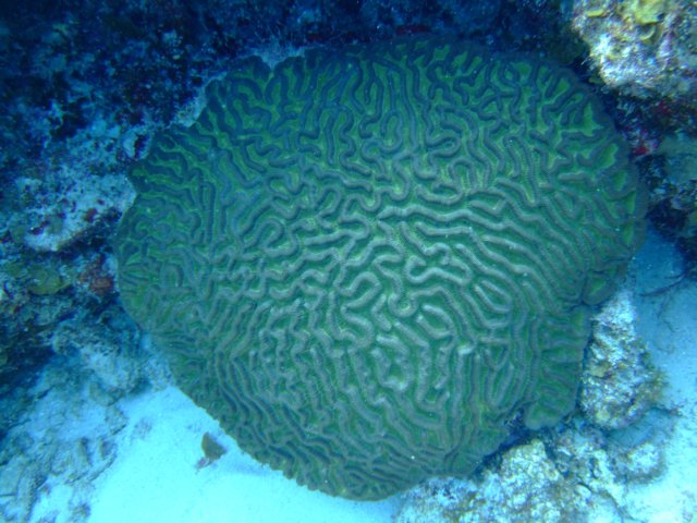 dscf5468.jpg