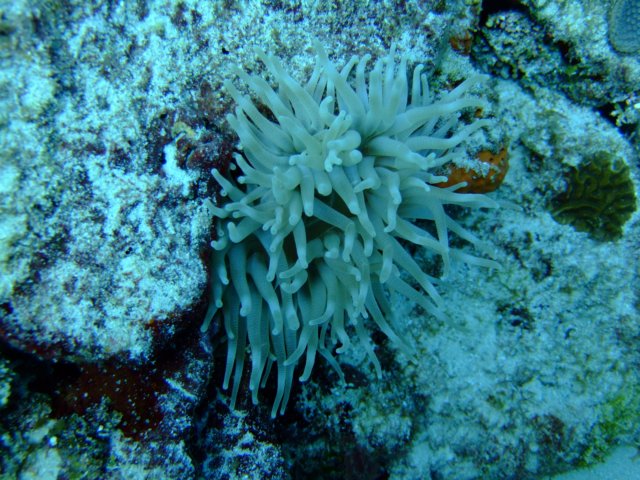 dscf5469.jpg