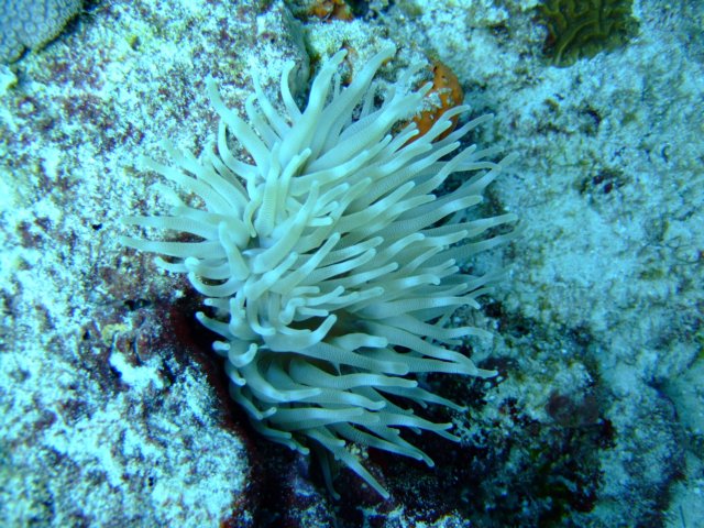 dscf5470.jpg