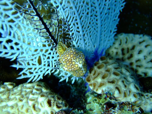 dscf5472.jpg