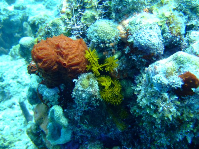dscf5473.jpg