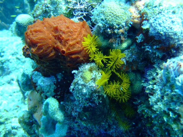 dscf5474.jpg