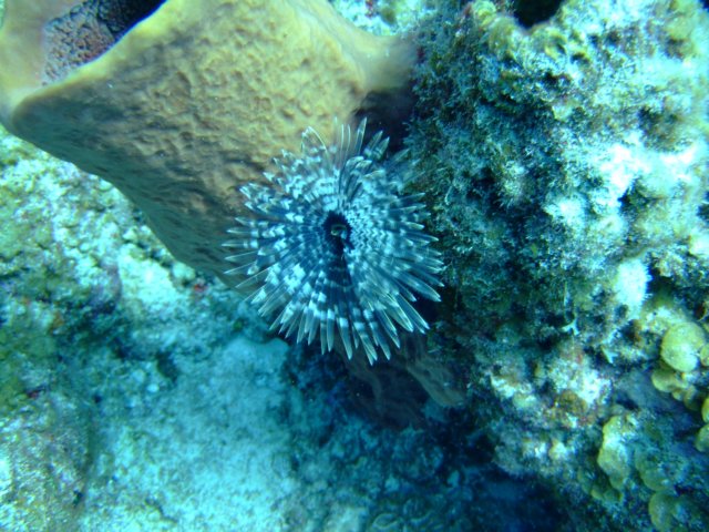 dscf5475.jpg