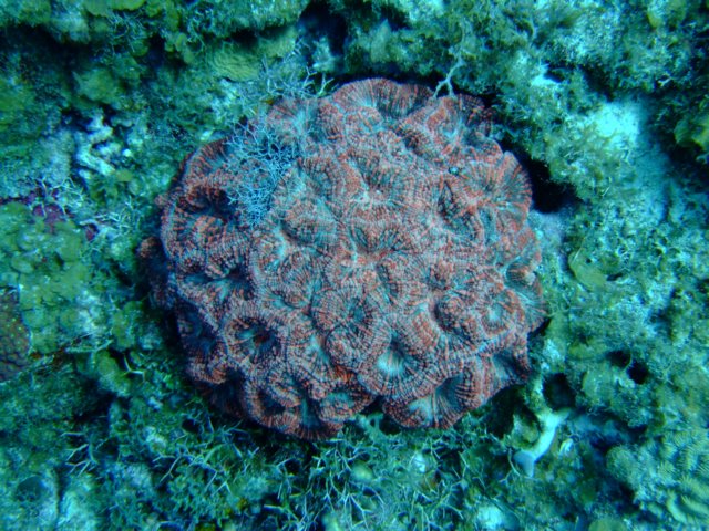 dscf5477.jpg