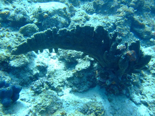 dscf5478.jpg