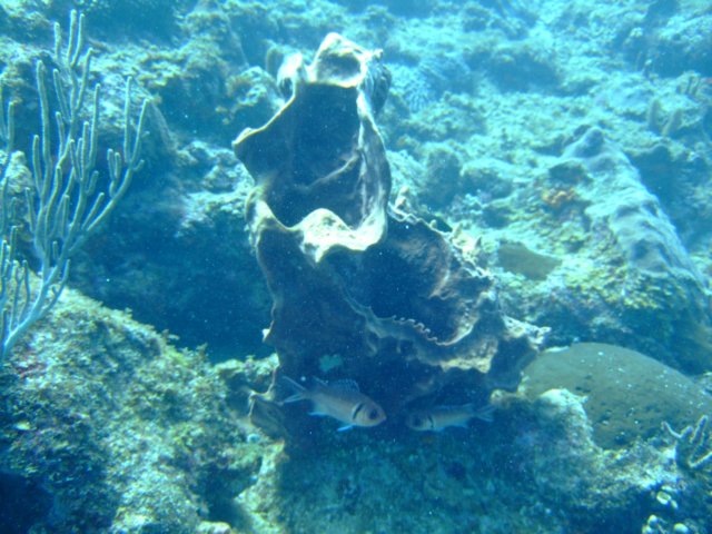 dscf5479.jpg